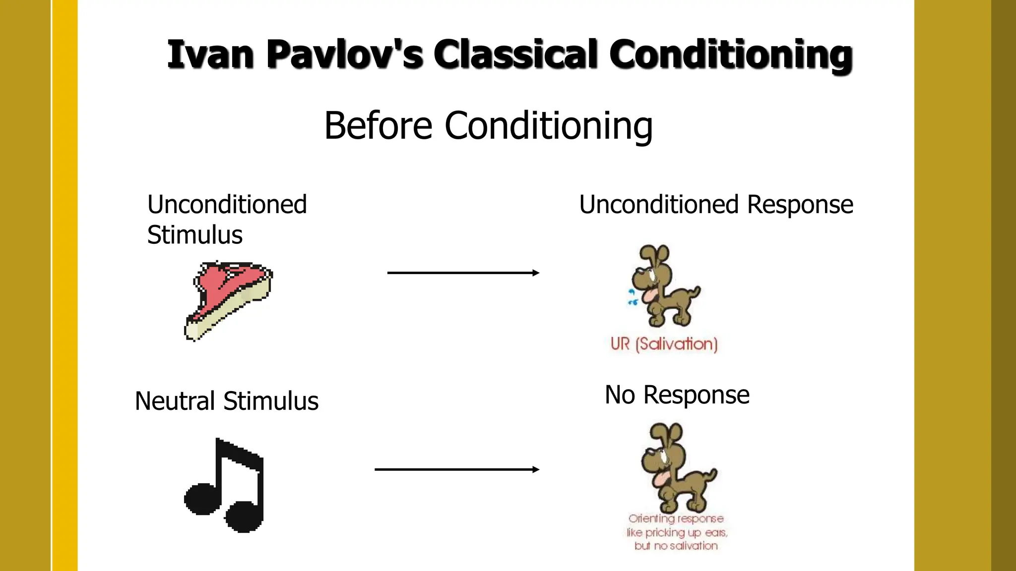 Ivan Pavlov's Classical Conditioning
Before Conditioning
Unconditioned
Stimulus
Unconditioned Response
Neutral Stimulus No Response
 