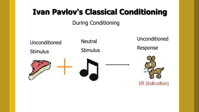 behaviorism and the teaching of mathematics.pptx