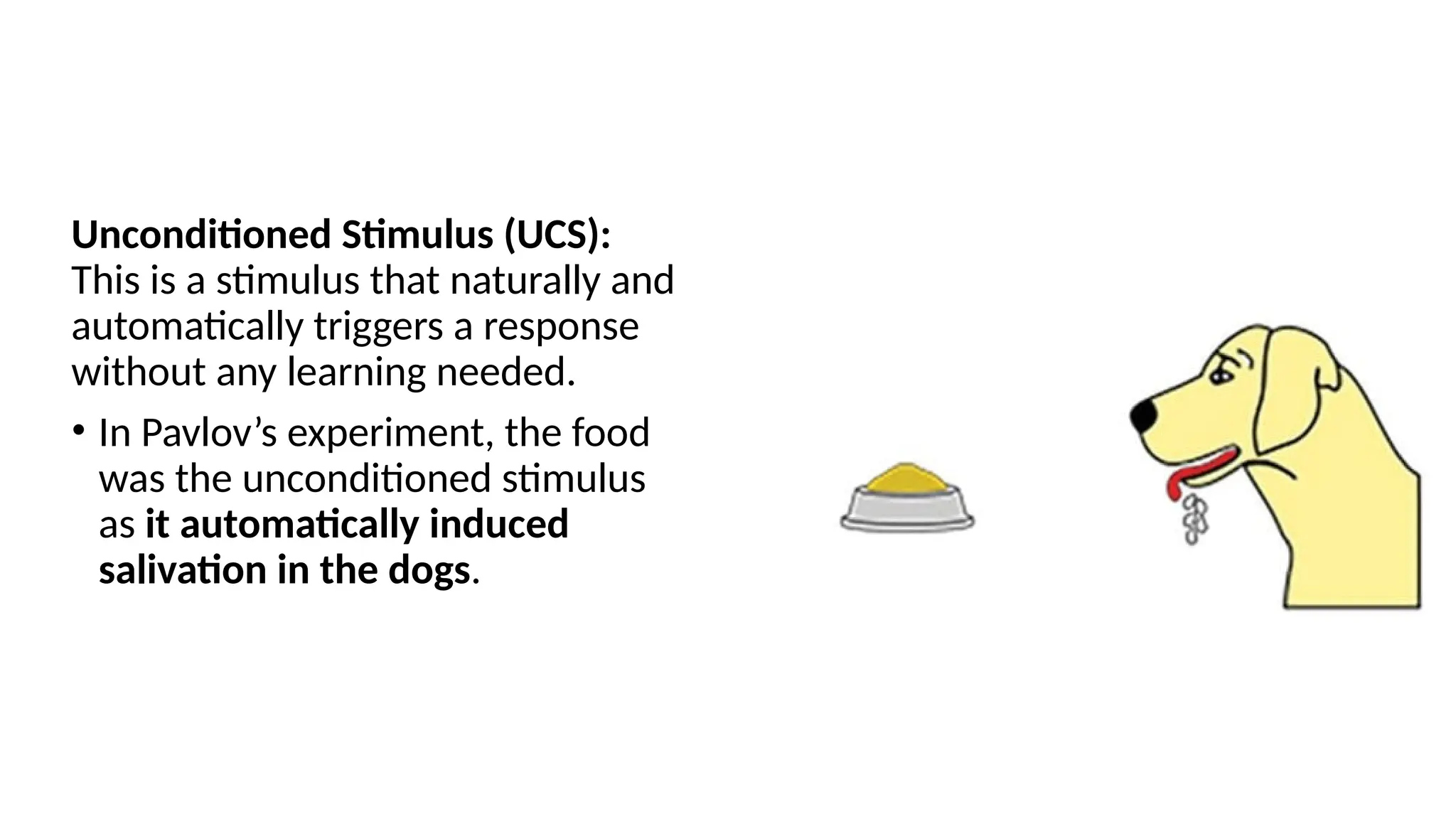 Unconditioned Stimulus (UCS):
This is a stimulus that naturally and
automatically triggers a response
without any learning needed.
• In Pavlov’s experiment, the food
was the unconditioned stimulus
as it automatically induced
salivation in the dogs.
 