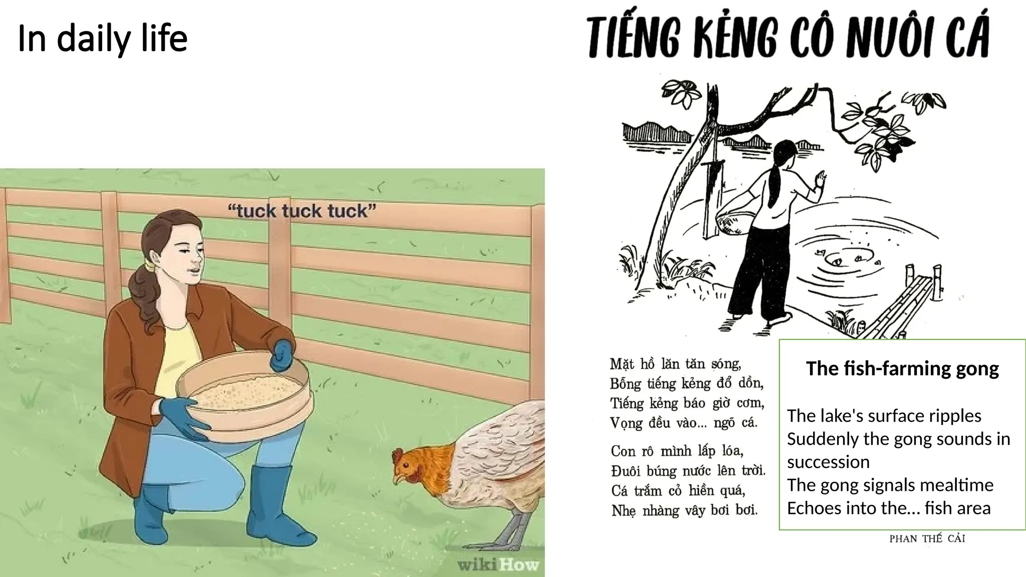 In daily life
The fish-farming gong
The lake's surface ripples
Suddenly the gong sounds in
succession
The gong signals mealtime
Echoes into the… fish area
 