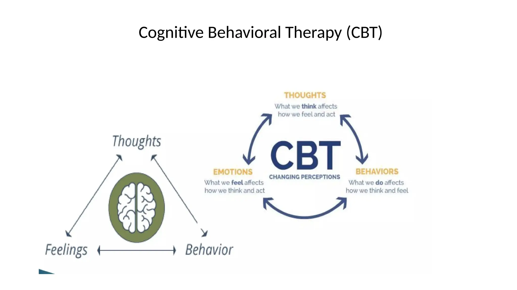 Cognitive Behavioral Therapy (CBT)
 