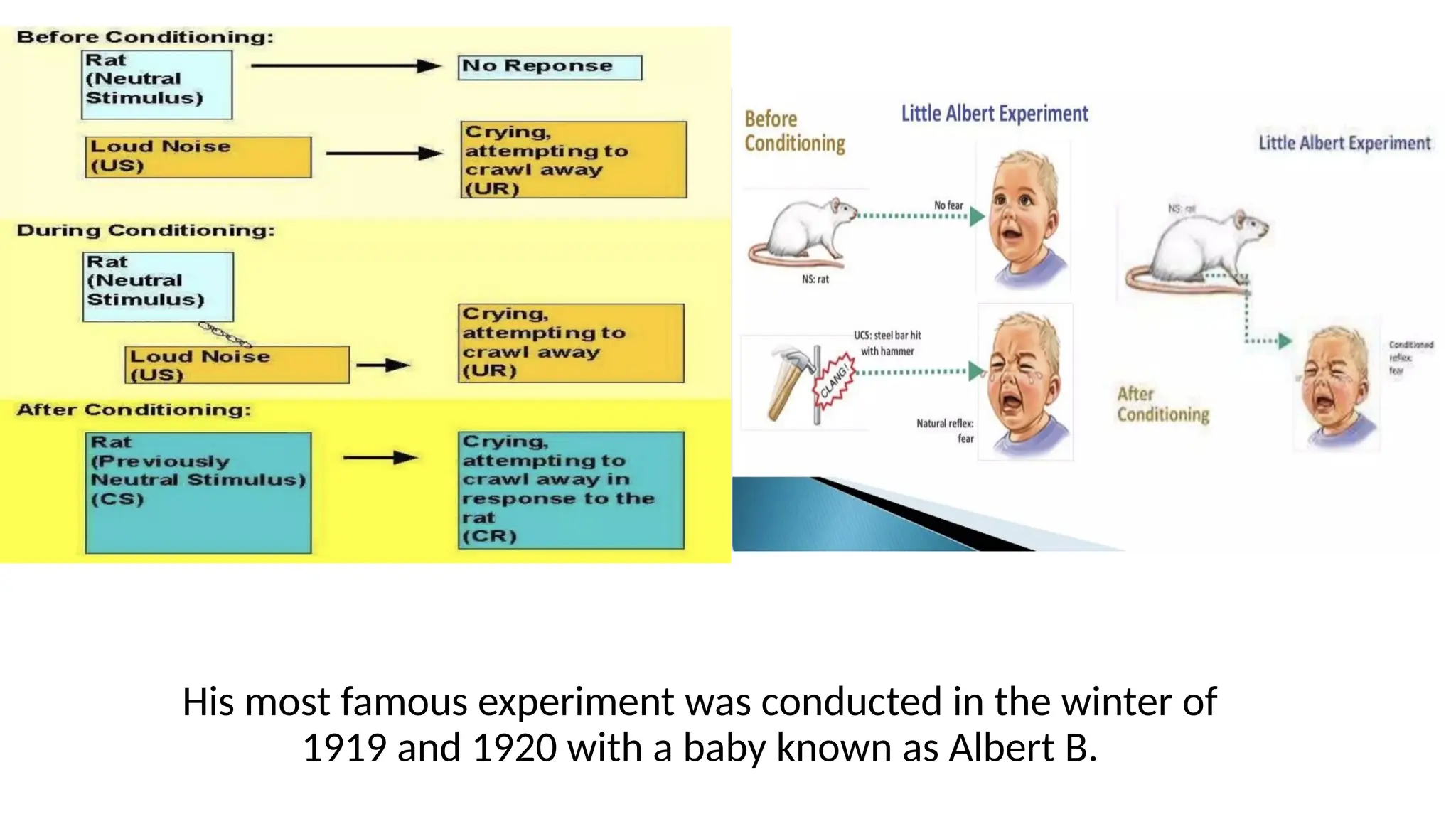 His most famous experiment was conducted in the winter of
1919 and 1920 with a baby known as Albert B.
 