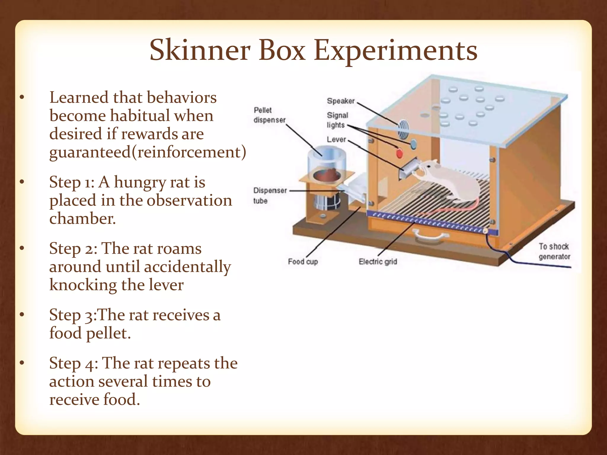 Behaviorism no names | PPTX