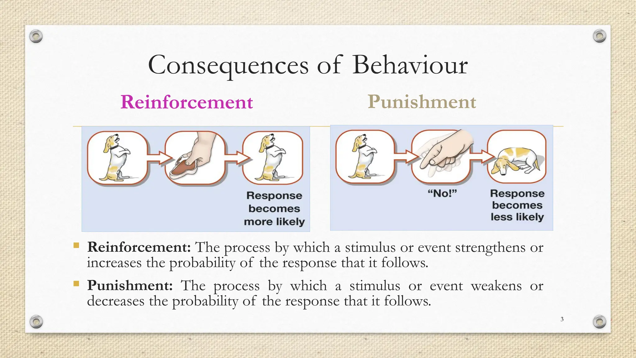 Consequences of Behaviour
▪ Reinforcement: The process by which a stimulus or event strengthens or
increases the probability of the response that it follows.
▪ Punishment: The process by which a stimulus or event weakens or
decreases the probability of the response that it follows.
3
Punishment
Reinforcement
 