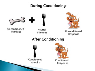 During Conditioning
After Conditioning
Unconditioned
stimulus
Neutral
stimulus
Unconditioned
Response
Conditioned
stimulus
Conditioned
Response
 