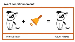 Avant conditionnement:
+ =
Stimulus neutre Aucune reponse
 