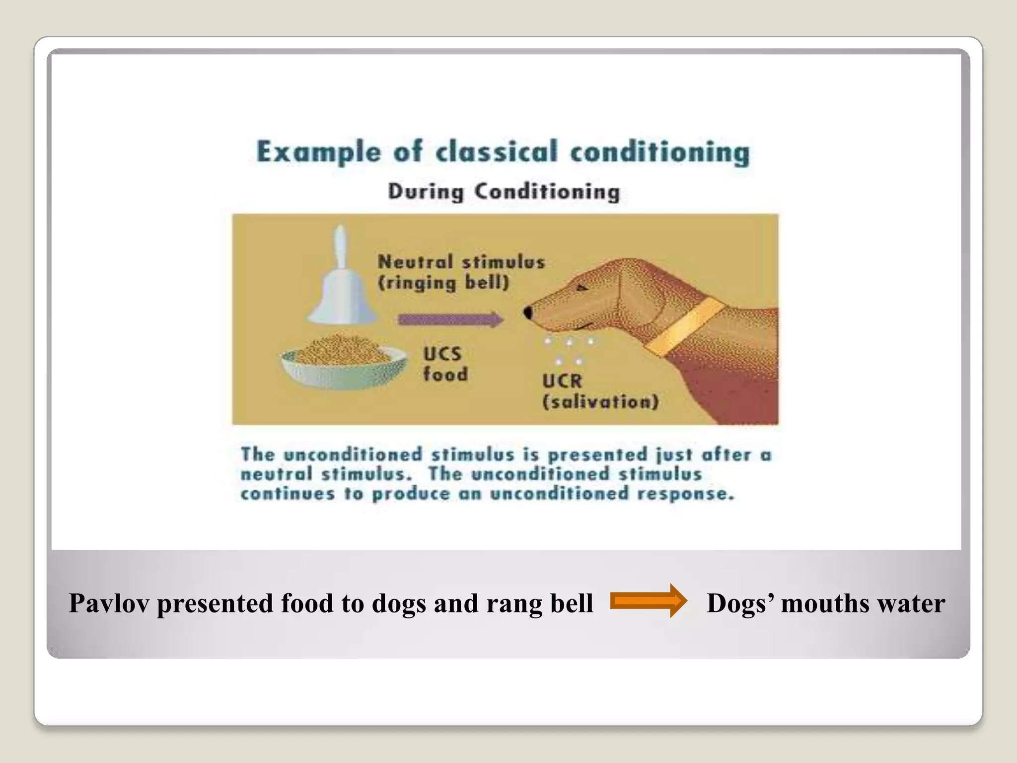 Pavlov presented food to dogs and rang bell

Dogs’ mouths water

 