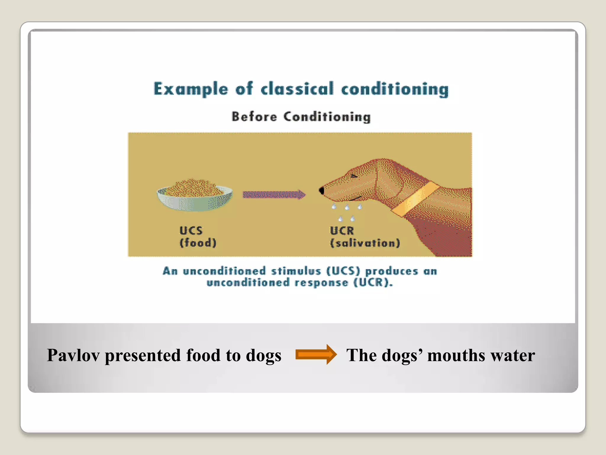 Pavlov presented food to dogs

The dogs’ mouths water

 