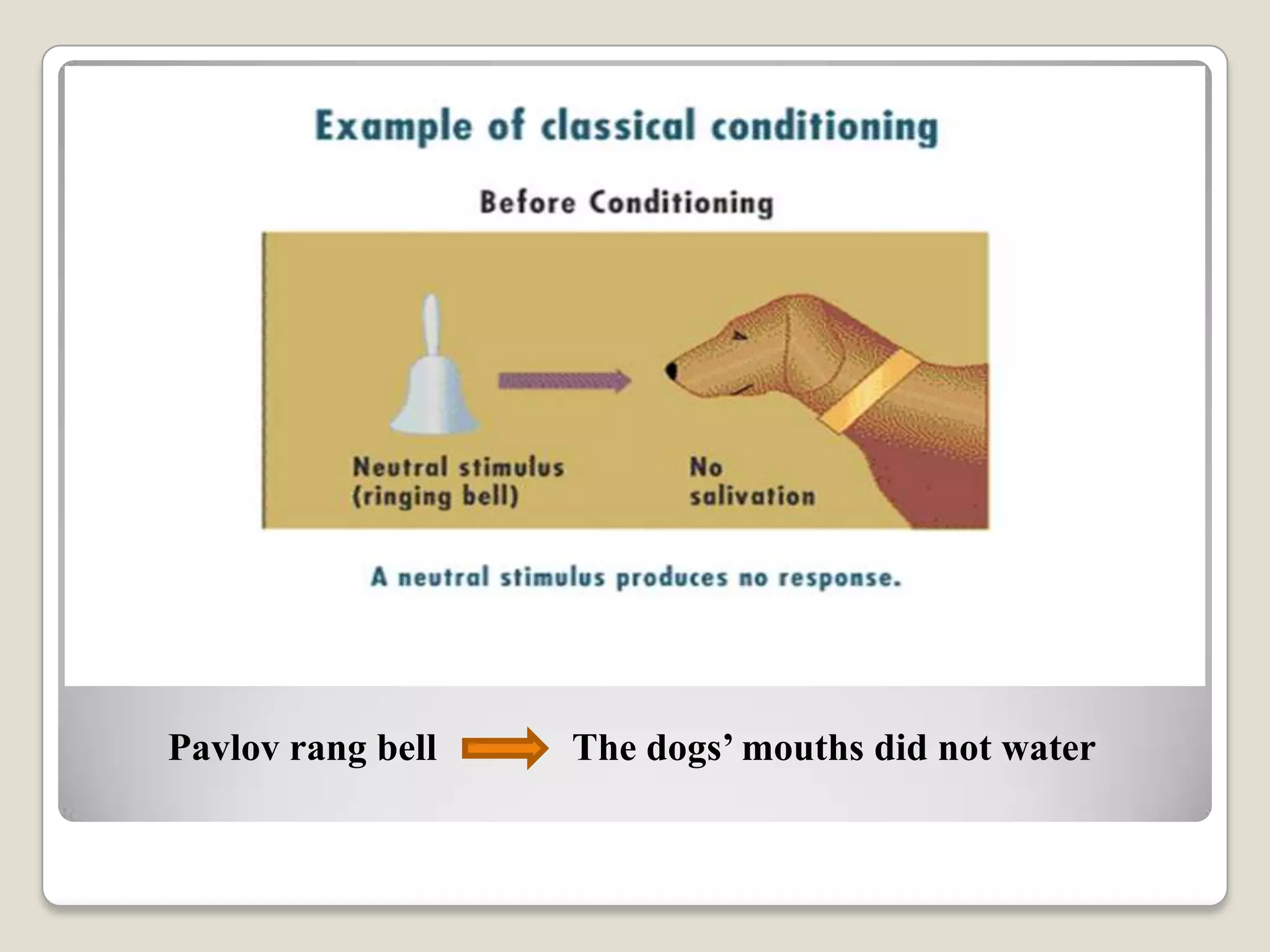 Pavlov rang bell

The dogs’ mouths did not water

 