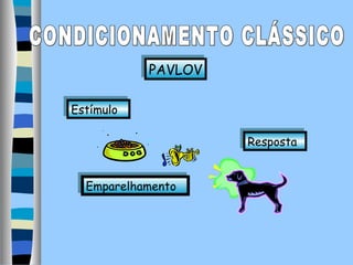 PAVLOV
PAVLOV
Estímulo
Estímulo
Resposta
Resposta
Emparelhamento
Emparelhamento

 
