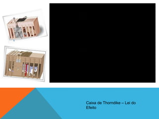 Caixa de Thorndike – Lei do
Efeito
 