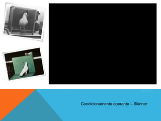 VIDEO DOS POMBOS
Condicionamento operante – Skinner
 