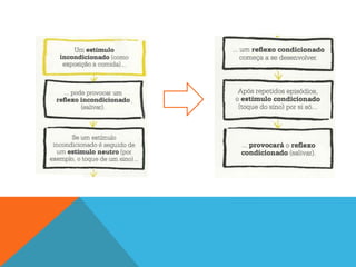 Behaviorismo