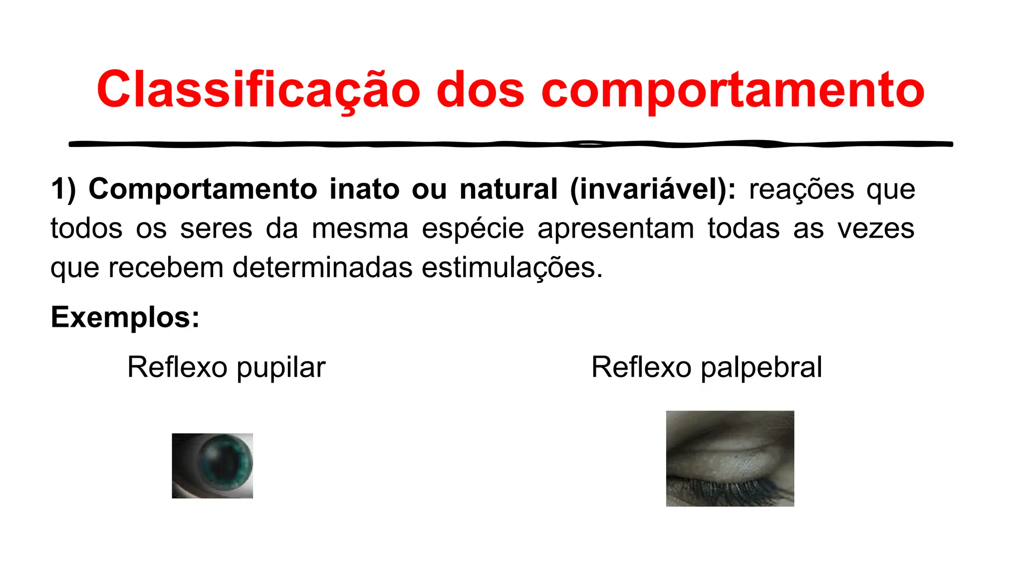Classificação dos comportamento
1) Comportamento inato ou natural (invariável): reações que
todos os seres da mesma espécie apresentam todas as vezes
que recebem determinadas estimulações.
Exemplos:
Reflexo pupilar Reflexo palpebral
 