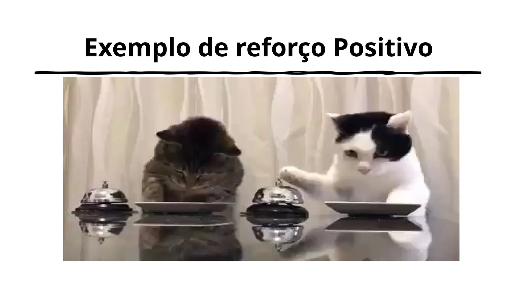Exemplo de reforço Positivo
 