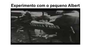 Experimento com o pequeno Albert
 