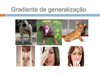 Gradiente de generalização

 