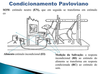 SOM- estímulo neutro (EN), que em seguida se transforma em estímulo
condicional (EC)
Alimento estímulo incondicional (EI) Medição da Salivação- a resposta
incondicional (RI) ao estímulo do
alimento se transforma em resposta
condicionada (RC) ao estímulo do
som.
 