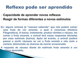 Capacidade de aprender novos reflexos
Reagir de formas diferentes a novos estímulos
Ex: alguns animais já “nascem sabendo” que não podem comer
uma fruta de cor amarela, a qual é venenosa (História
Filogenética). A toxina, inatamente, produz vômitos e náusea. Ao
comer a fruta amarela, o animal terá essas respostas eliciadas
por esse estímulo (toxina). Após tal evento, o animal poderá
passar a sentir náuseas ao ver a fruta anarela e não mais a
comerá, diminuindo as chances de morrer envenenado.
A resposta de náusea diante do estímulo fruta amarela é um
reflexo aprendido.
 