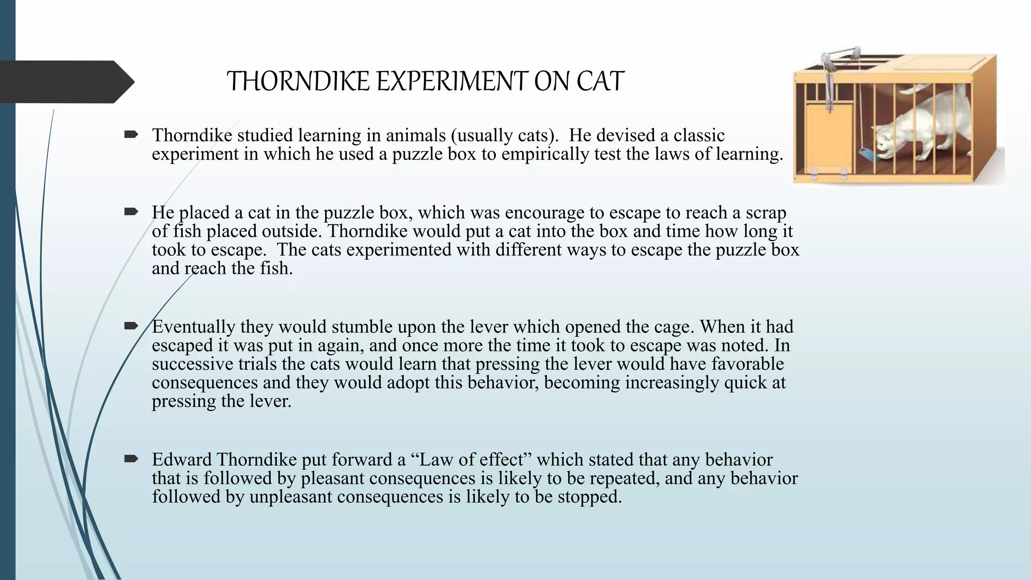 Eventual Cat BEHAVIORISM ppt.pptx