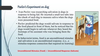 BEHAVIORISM ppt.pptx