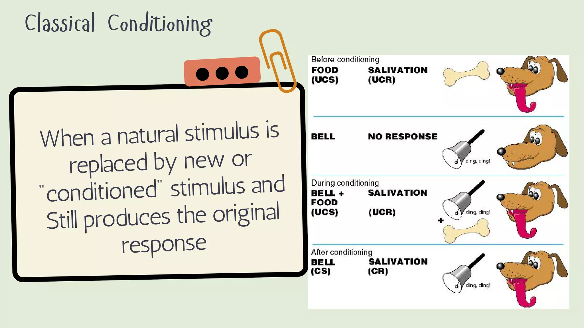 When a natural stimulus is
replaced by new or
"conditioned" stimulus and
Still produces the original
response
Classical Conditioning
 