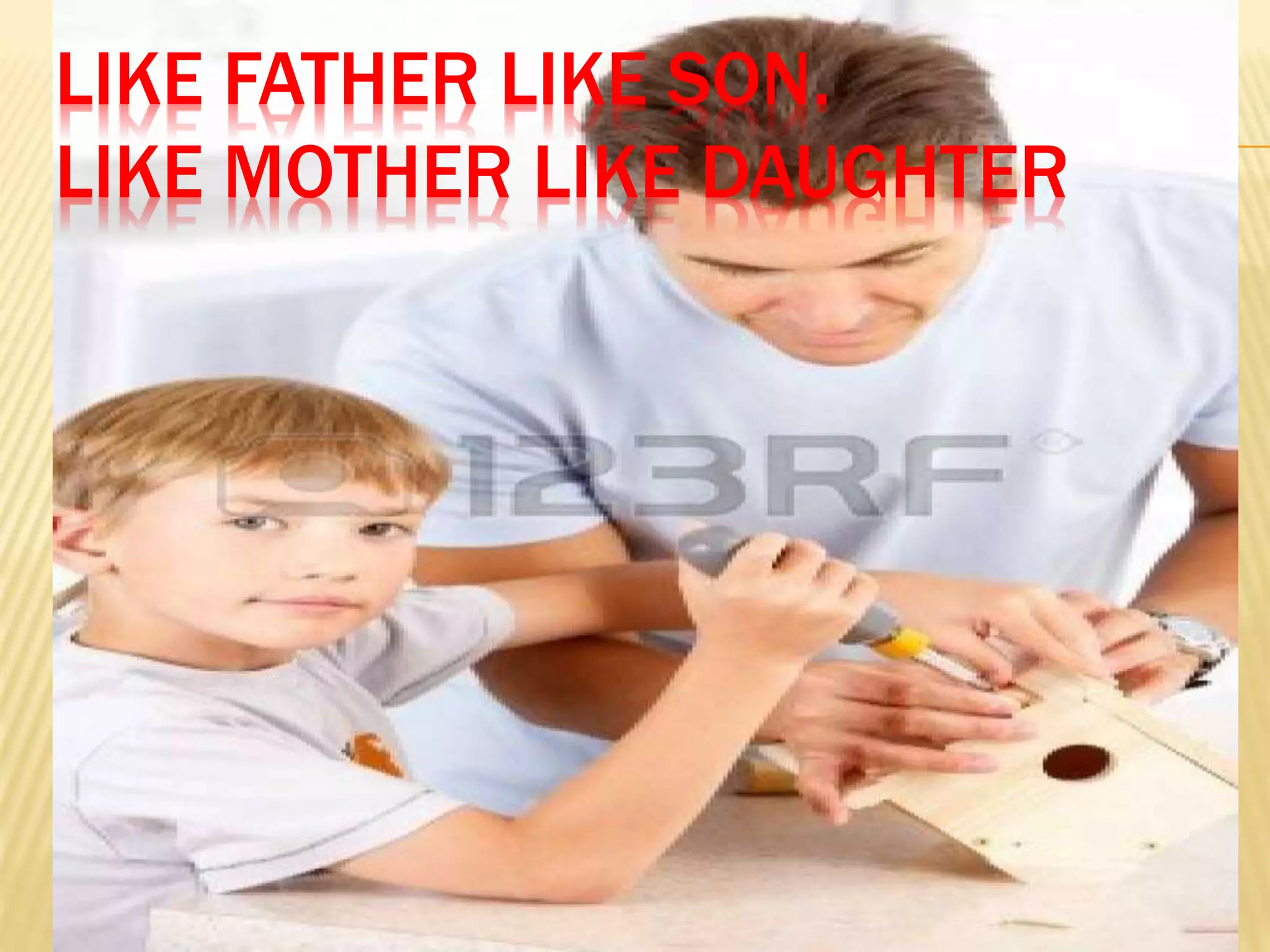 LIKE FATHER LIKE SON.
LIKE MOTHER LIKE DAUGHTER
 