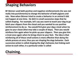 Shaping Behaviors
BF Skinner used both positive and negative reinforcements (he was not
really into punishments) to change the behavior of both pigeons and
rats. Now when Skinner tried to create a behavior in an animal it did
not happen at one time. He did it is small successive steps that he
called shaping. For example, let’s say you want to teach your dog to go
fetch your slippers from the closet and you wanted to use positive
reinforcement to do so. You would first give your dog a treat when he
goes to your closet (that may take a couple of days). Then you would
reinforce him again when he picks up your slippers. Then you give him
a treat once again when he brings them to your feet. The idea is that
reinforcing all of these small actions is more effective than doing the
whole process at once; thus you are shaping the dogs behavior. Each
successive action is called shaping the dog’s behavior, but linking each
action to each other, in a particular order is called
Chaining.
 
