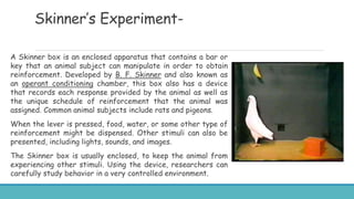 Behaviorist Theory by Pavlov and Skinner.pptx