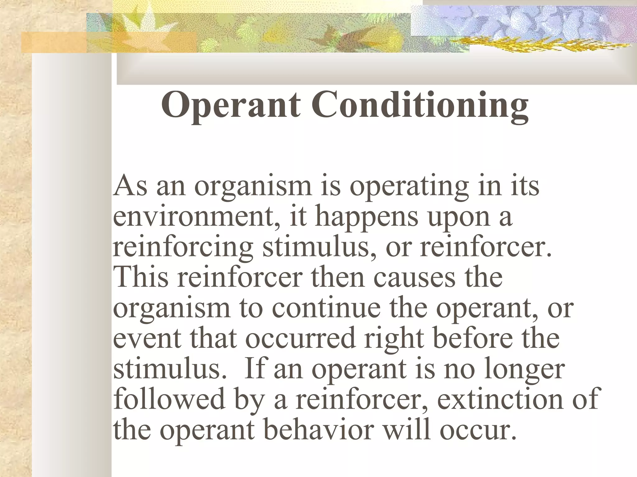 Operant Conditioning
As an organism is operating in its
environment, it happens upon a
reinforcing stimulus, or reinforcer.
This reinforcer then causes the
organism to continue the operant, or
event that occurred right before the
stimulus. If an operant is no longer
followed by a reinforcer, extinction of
the operant behavior will occur.
 