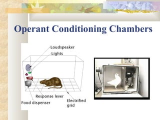 Operant Conditioning Chambers
 