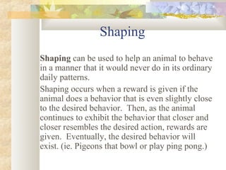 Shaping
Shaping can be used to help an animal to behave
in a manner that it would never do in its ordinary
daily patterns.
Shaping occurs when a reward is given if the
animal does a behavior that is even slightly close
to the desired behavior. Then, as the animal
continues to exhibit the behavior that closer and
closer resembles the desired action, rewards are
given. Eventually, the desired behavior will
exist. (ie. Pigeons that bowl or play ping pong.)
 