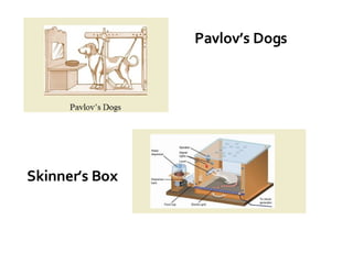 Pavlov’s Dogs Skinner’s Box 