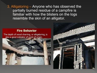 3. Alligatoring – Anyone who has observed the
partially burned residue of a campfire is
familiar with how the blisters on the logs
resemble the skin of an alligator.
 