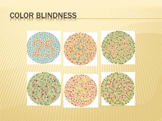 Light Behavior Behavior of light | PPT