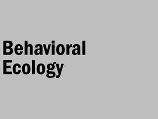 Behavioral
Ecology
 