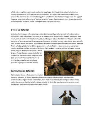 whicheatseverythingfrominsectsandberriestogarbage.Itis thoughtthat natural selectionhas
favoredmanyanimalstoforage inan efficientmanner.Thismeansthatthe animalsmake feeding
choicesthatmaximize the amountof energythey canobtaininthe shortesttime possible.Thistype of
foraging,sometimesreferredtoas"optimal foraging,"leavesthe animal withmore time andenergyfor
otherimportantactivities,suchasfindingamate or caringfor offspring.
Defensive Behavior
Virtuallyall animalsare vulnerable topredation(beingeatenbyanotheranimal) atleastsome time
duringtheirlives.Evenwolvesandlionscanbe preyforotheranimalswhentheyare veryyoung.Asa
result,animalsfromwormstowhaleshave evolvedwaystoreduce the likelihoodtheyare eaten.This
behavior,oftenreferredtoasdefensive,orantipredator,behavior,cantake manyforms.Some animals,
such as many moths and lizards, try to blend in with their surroundings so the predator cannot see them.
Thisis calledcrypticbehavior.Otherspecieshave evolvedeffectiveescape behaviors,suchasfast-
runningantelope andfast-swimmingfish.Othersfightbackwithstingingorbitingbehavior.Inmany
cases,preycan deterpredatorswitha threat
display.Threatdisplaysare special behaviors
that tell the predatorthatthe prey mayfight
back ferociously.A raccoonthat baresits
teethandgrowlswhencorneredbya
predatorisgivingsucha threatdisplay.
CommunicationBehavior:
As illustratedabove, effective communication
behaviorisvital foran animal.Besidescommunicatingwithsightandsound,some animals
communicate usingchemicals.Forexample,male mothsfindmatesbydetectingspecial chemicals
calledpheromonesthatthe femalesreleaseintothe air.Antsalsouse pheromonestodetermineif
anotherant isan intruderor a memberof the colony.
 