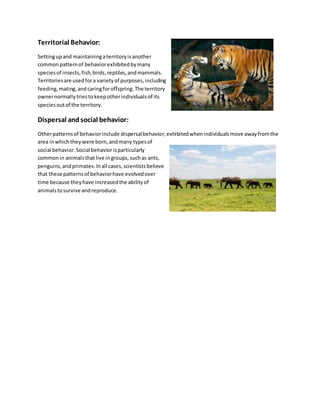 Territorial Behavior:
Settingupand maintainingaterritoryisanother
commonpatternof behaviorexhibitedbymany
speciesof insects,fish,birds,reptiles,andmammals.
Territoriesare usedfora varietyof purposes,including
feeding,mating,andcaringforoffspring.The territory
ownernormallytriestokeepotherindividualsof its
speciesoutof the territory.
Dispersal andsocial behavior:
Otherpatternsof behaviorinclude dispersalbehavior,exhibitedwhenindividualsmove awayfromthe
area inwhichtheywere born,andmany typesof
social behavior.Social behaviorisparticularly
commonin animalsthatlive ingroups,suchas ants,
penguins,andprimates.Inall cases,scientistsbelieve
that these patternsof behaviorhave evolvedover
time because theyhave increasedthe abilityof
animalstosurvive andreproduce.
 