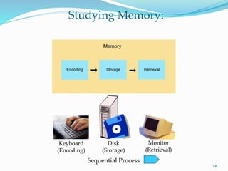 54
Studying Memory:
Keyboard
(Encoding)
Disk
(Storage)
Monitor
(Retrieval)
Sequential Process
 
