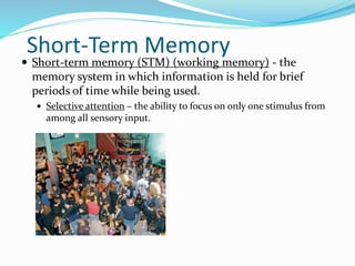Short-Term Memory
 Short-term memory (STM) (working memory) - the
memory system in which information is held for brief
periods of time while being used.
 Selective attention – the ability to focus on only one stimulus from
among all sensory input.
 