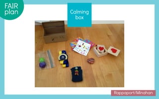 The Behavior Code presentation | Nancy Rappaport, M.D. | PDF