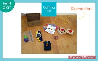 The Behavior Code presentation | Nancy Rappaport, M.D. | PDF