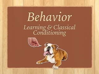 Behavior
Learning & Classical
Conditioning
!
!
!
 
