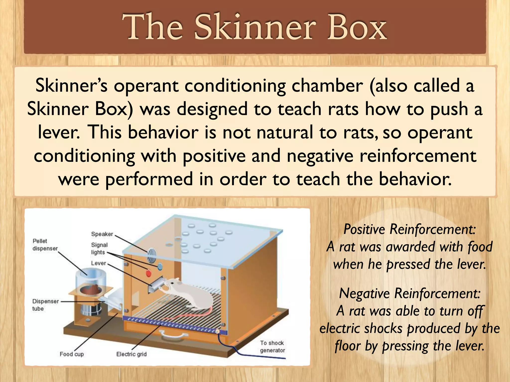 The Skinner Box
Skinner’s operant conditioning chamber (also called a
Skinner Box) was designed to teach rats how to push a
lever. This behavior is not natural to rats, so operant
conditioning with positive and negative reinforcement
were performed in order to teach the behavior.
Positive Reinforcement:	

A rat was awarded with food
when he pressed the lever.	

!
Negative Reinforcement:	

A rat was able to turn off
electric shocks produced by the
ﬂoor by pressing the lever.
 