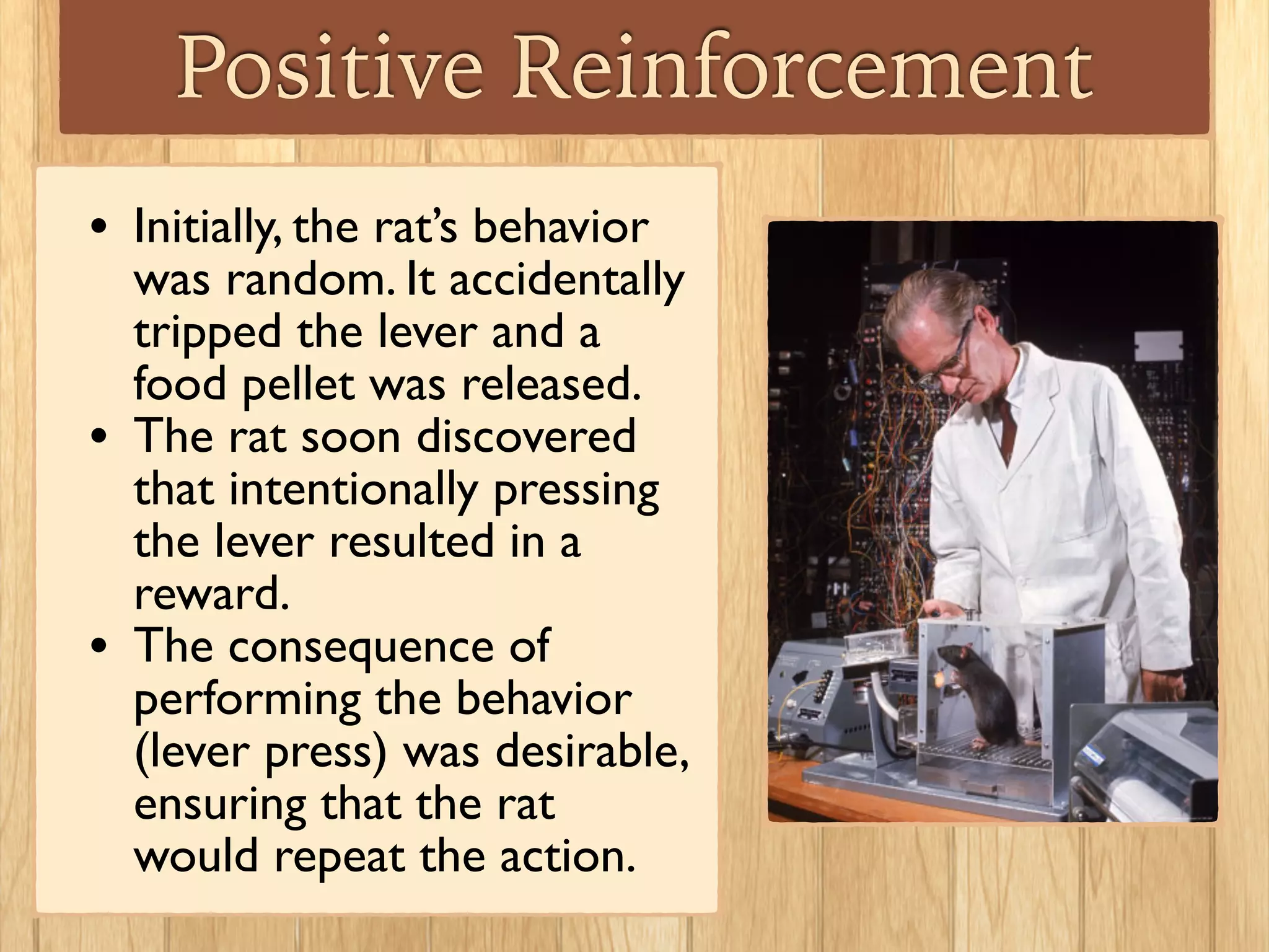 Positive Reinforcement
• Initially, the rat’s behavior
was random. It accidentally
tripped the lever and a
food pellet was released.	

• The rat soon discovered
that intentionally pressing
the lever resulted in a
reward.	

• The consequence of
performing the behavior
(lever press) was desirable,
ensuring that the rat
would repeat the action.
 