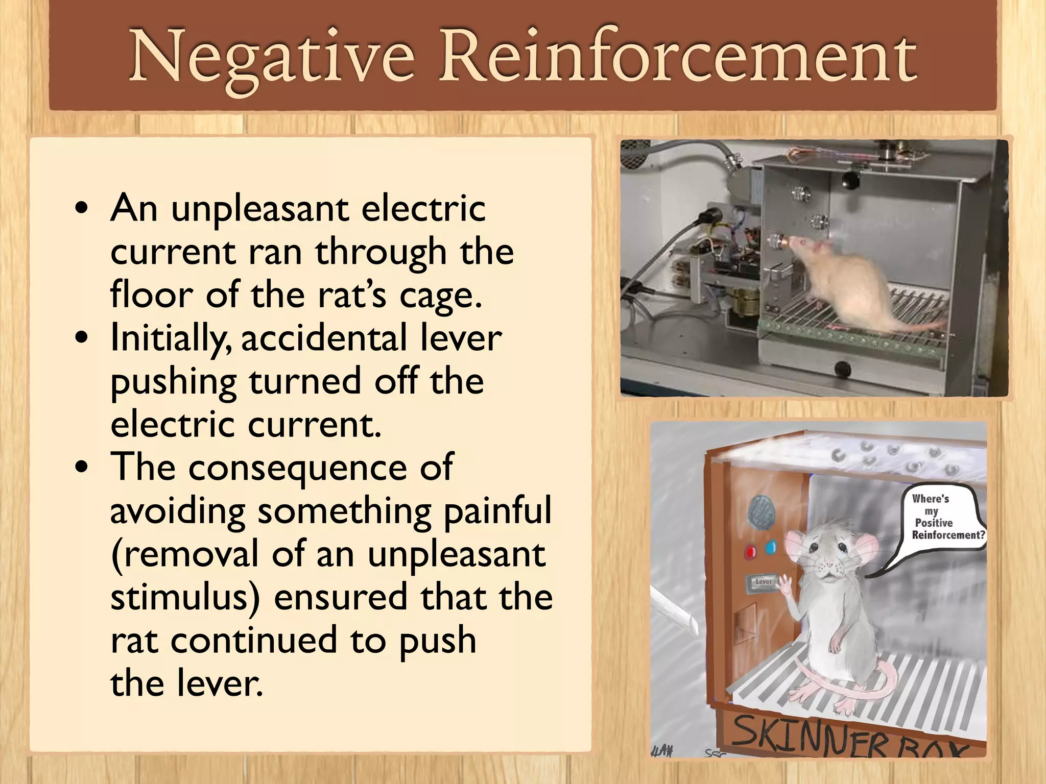 Negative Reinforcement
• An unpleasant electric
current ran through the
ﬂoor of the rat’s cage.	

• Initially, accidental lever
pushing turned off the
electric current.	

• The consequence of
avoiding something painful
(removal of an unpleasant
stimulus) ensured that the
rat continued to push
the lever.
 