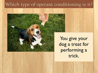 Which type of operant conditioning is it?
You give your 	

dog a treat for
performing a 	

trick.
 