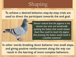 Shaping
To achieve a desired behavior, step-by-step trials are
used to direct the participant towards the end goal.
Skinner noticed that the pigeons in the
skinner box were not accidentally
pushing the button that would release
food. How could he teach the pigeon
that pressing the button would result in
a positive outcome?
In other words: breaking down behavior into small steps,
and giving positive reinforcement along the way can
result in the learning of more complex behaviors.
 