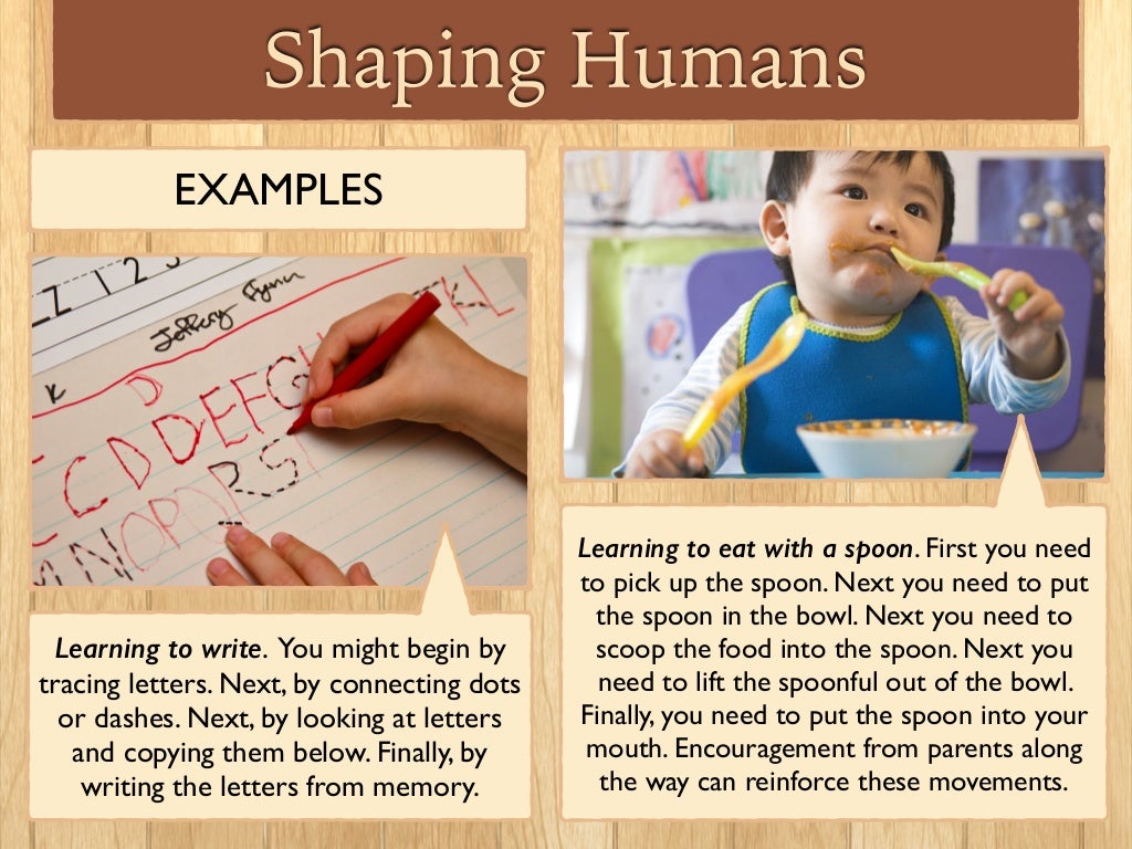 operant conditioning 2 essay Operant conditioning essay 757 words | 4 pages operant conditioning overview: the theory of bf skinner is based upon the idea that learning is a function of. operant conditioning 2 essay Operant conditioning essay 757 words | 4 pages operant conditioning overview: the theory of bf skinner is based upon the idea that learning is a function of.