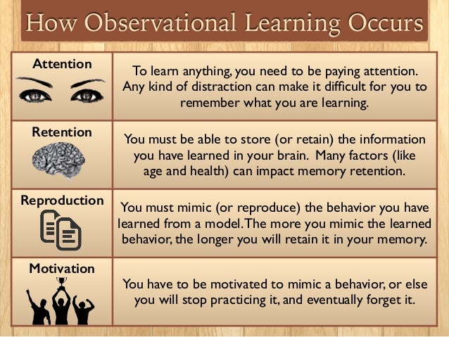observational learning